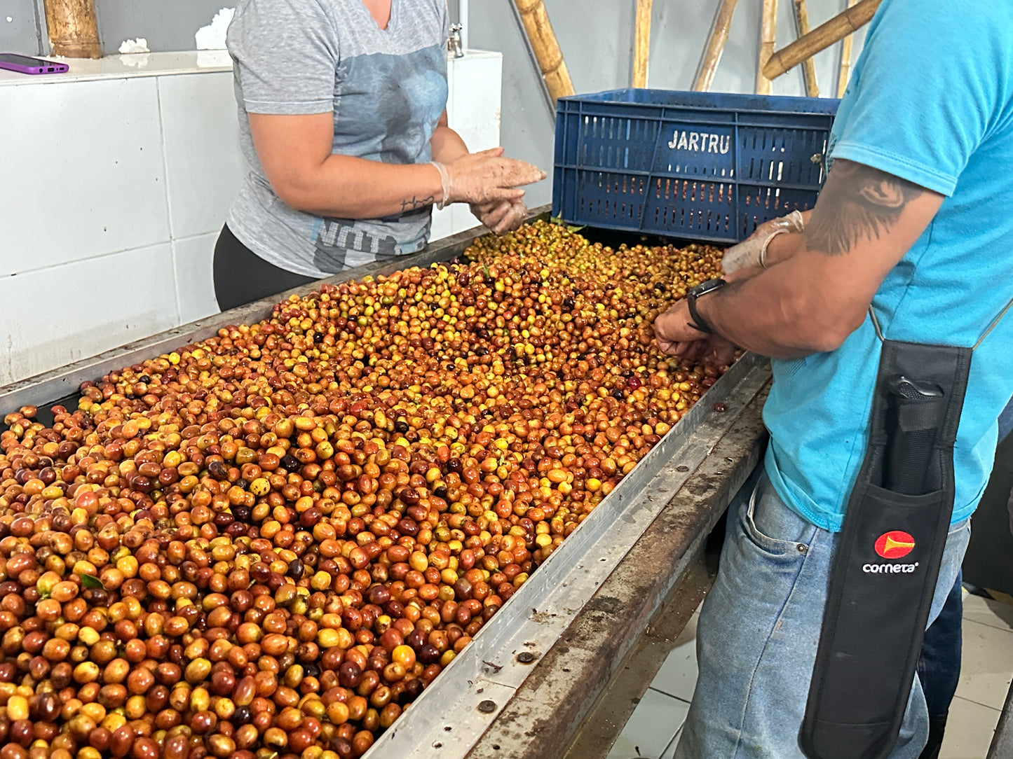 green coffee being processed in colombia by coffeelipe and friends